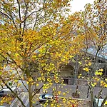 Le Penthouse Picardie